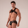 Rebel Harness with rebel brief